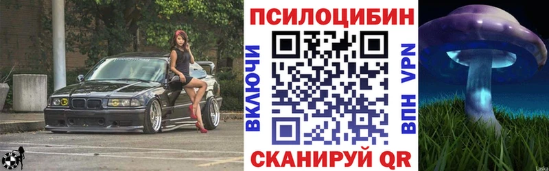 Галлюциногенные грибы Psilocybine cubensis  omg ССЫЛКА  Нелидово 